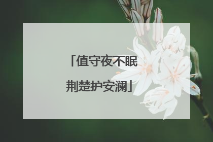 值守夜不眠 荆楚护安澜