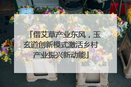 借艾草产业东风，玉玄道创新模式激活乡村产业振兴新动能
