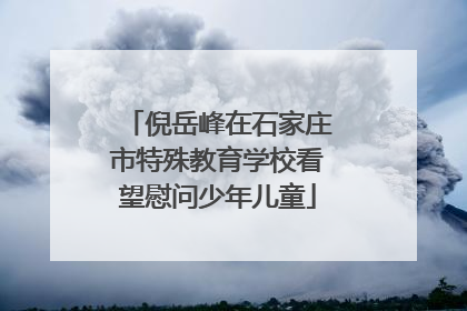 倪岳峰在石家庄市特殊教育学校看望慰问少年儿童