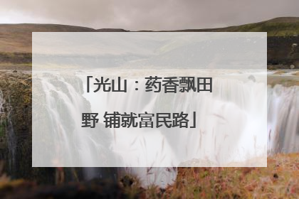 光山：药香飘田野 铺就富民路