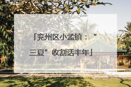 兖州区小孟镇：“三夏”收割话丰年