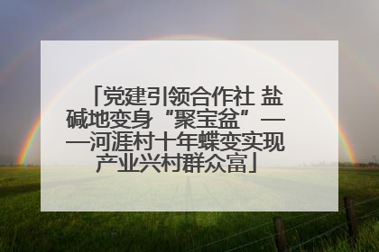 党建引领合作社 盐碱地变身“聚宝盆”——河涯村十年蝶变实现产业兴村群众富