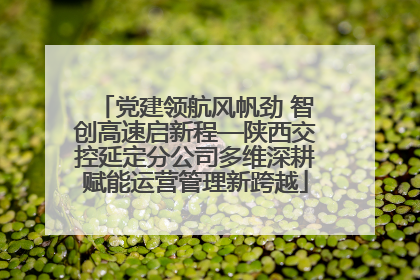 党建领航风帆劲 智创高速启新程—陕西交控延定分公司多维深耕赋能运营管理新跨越