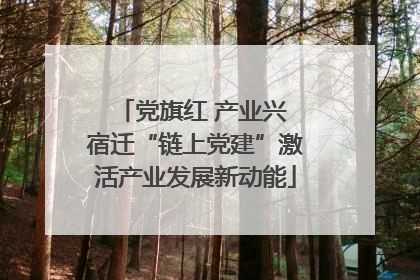党旗红 产业兴 宿迁“链上党建”激活产业发展新动能
