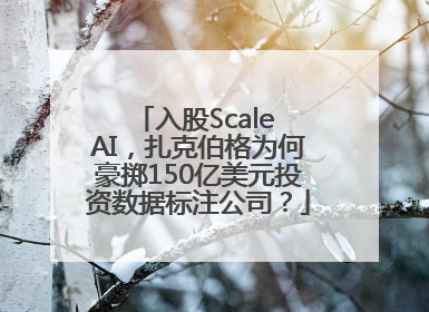 入股Scale AI，扎克伯格为何豪掷150亿美元投资数据标注公司？