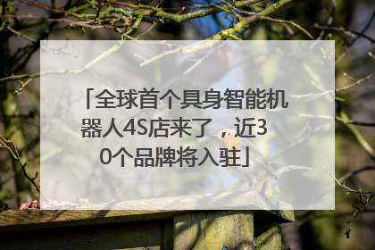 全球首个具身智能机器人4S店来了，近30个品牌将入驻