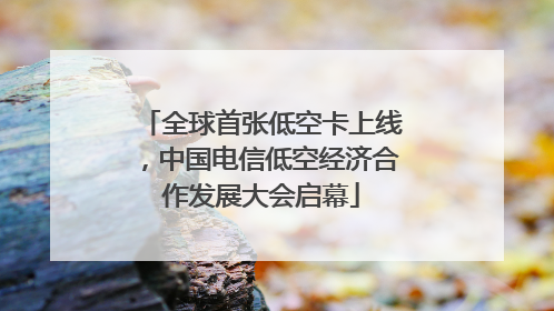 全球首张低空卡上线，中国电信低空经济合作发展大会启幕