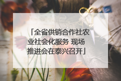 全省供销合作社农业社会化服务 现场推进会在泰兴召开