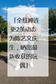 全红婵连更2条动态为陈艺文庆生，晒出最新收获的玩偶
