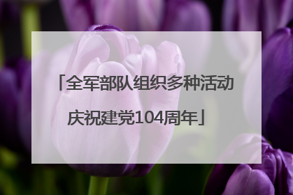 全军部队组织多种活动庆祝建党104周年