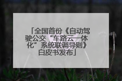 全国首份《自动驾驶公交“车路云一体化”系统联调导则》白皮书发布