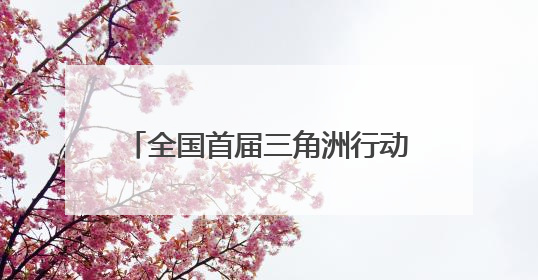 全国首届三角洲行动网咖邀请赛“熊族杯”总决赛圆满收官