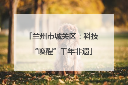 兰州市城关区：科技“唤醒”千年非遗