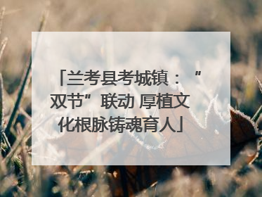 兰考县考城镇：“双节”联动 厚植文化根脉铸魂育人
