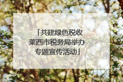 共建绿色税收 莱西市税务局举办专题宣传活动
