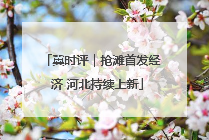 冀时评｜抢滩首发经济 河北持续上新