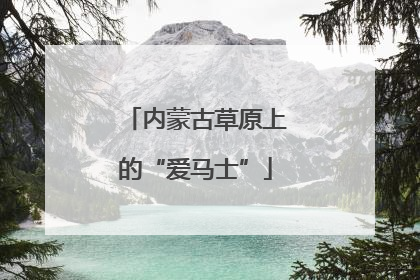 内蒙古草原上的“爱马士”