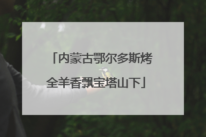 内蒙古鄂尔多斯烤全羊香飘宝塔山下