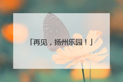 再见，扬州乐园！