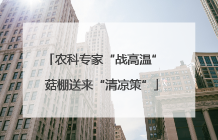农科专家“战高温” 菇棚送来“清凉策”