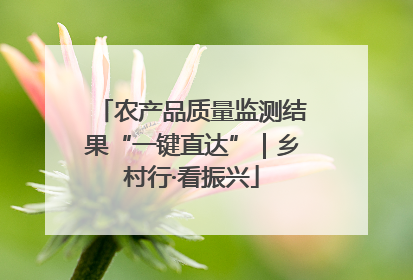 农产品质量监测结果“一键直达”｜乡村行·看振兴