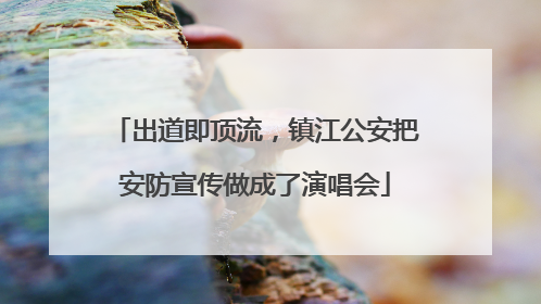 出道即顶流，镇江公安把安防宣传做成了演唱会