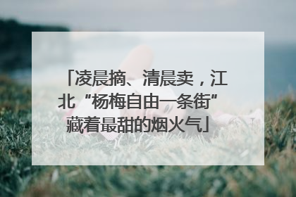凌晨摘、清晨卖，江北“杨梅自由一条街”藏着最甜的烟火气