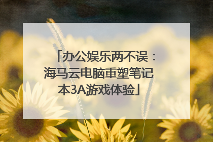 办公娱乐两不误：海马云电脑重塑笔记本3A游戏体验
