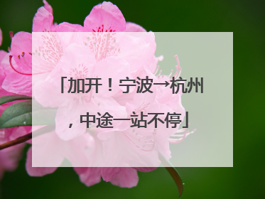 加开！宁波→杭州，中途一站不停