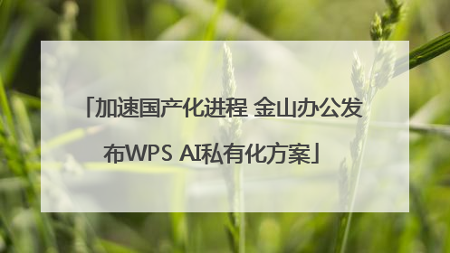 加速国产化进程 金山办公发布WPS AI私有化方案