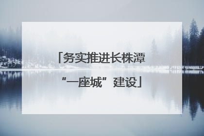 务实推进长株潭“一座城”建设
