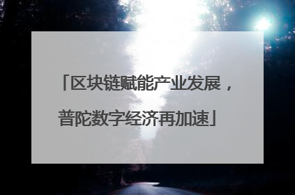 区块链赋能产业发展，普陀数字经济再加速