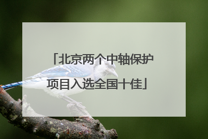 北京两个中轴保护项目入选全国十佳