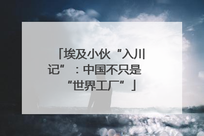 埃及小伙“入川记”：中国不只是“世界工厂”