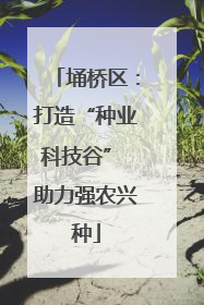 埇桥区：打造“种业科技谷” 助力强农兴种