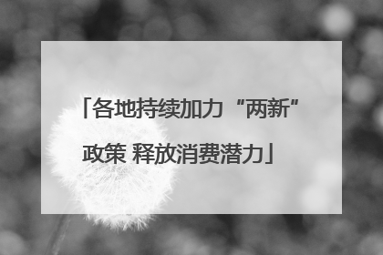 各地持续加力“两新”政策 释放消费潜力