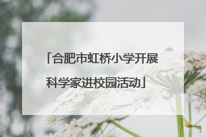 合肥市虹桥小学开展科学家进校园活动