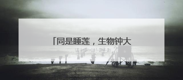 同是睡莲，生物钟大不同！有的是“夜猫子”，有的“值白班”