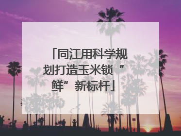 同江用科学规划打造玉米锁“鲜”新标杆
