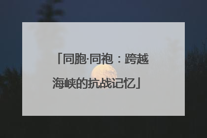 同胞·同袍：跨越海峡的抗战记忆