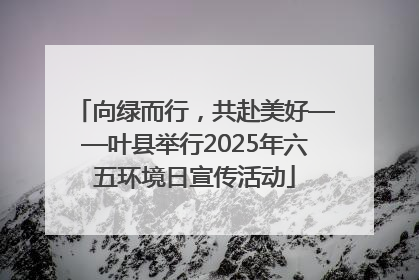 向绿而行，共赴美好——叶县举行2025年六五环境日宣传活动