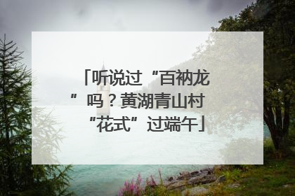 听说过“百衲龙”吗？黄湖青山村“花式”过端午