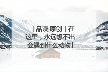 品读·原创｜在这里，永远想不出会遇到什么动物