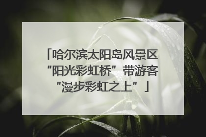 哈尔滨太阳岛风景区“阳光彩虹桥”带游客“漫步彩虹之上”