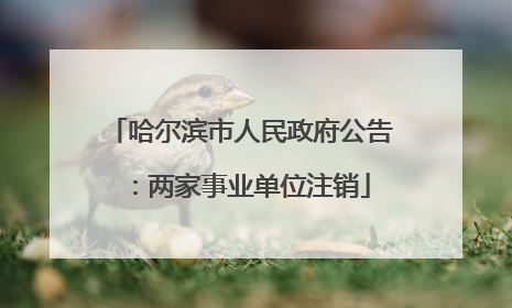 哈尔滨市人民政府公告：两家事业单位注销