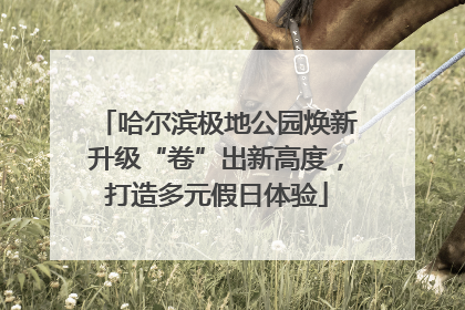 哈尔滨极地公园焕新升级“卷”出新高度，打造多元假日体验