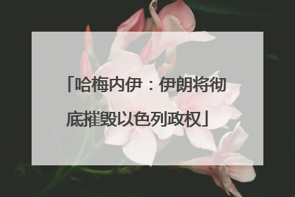 哈梅内伊：伊朗将彻底摧毁以色列政权