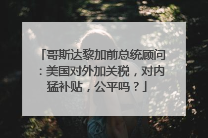 哥斯达黎加前总统顾问：美国对外加关税，对内猛补贴，公平吗？