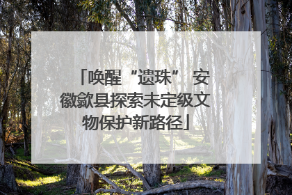 唤醒“遗珠” 安徽歙县探索未定级文物保护新路径