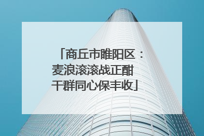 商丘市睢阳区：麦浪滚滚战正酣 干群同心保丰收